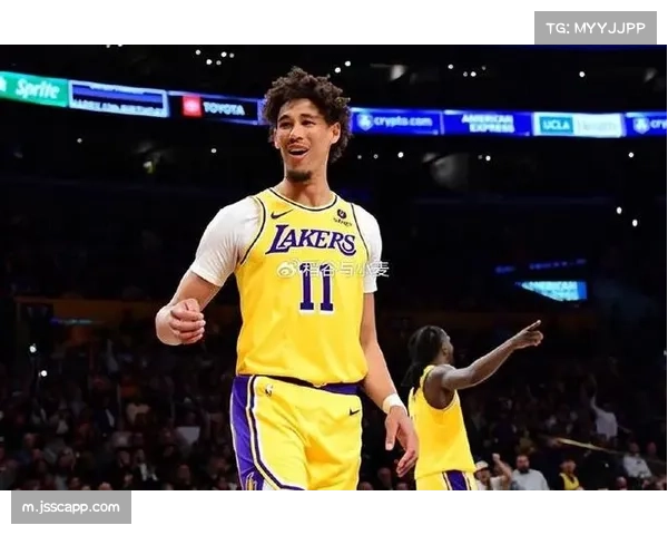 海斯因左膝酸痛缺阵 湖人对战森林狼错失主力球员